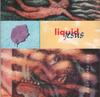 CD LIQUID JESUS - Pour In The Sky MCAD10191 MCA Records 1991 US Рок Б/У