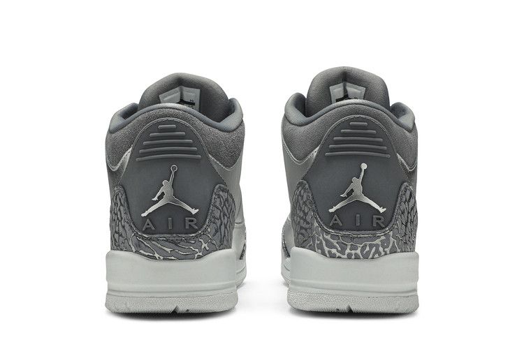 Kids' Sneakers Nike Jordan 3 Retro Premium Heiress Metallic Silver (GS) Metallic Silver/Cool Grey-White