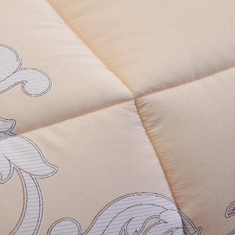 Yalu Elegant Feather Velvet Quilt