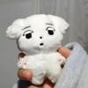 Yi ЗИМА Мин Ким тин Лю Чжиминь карри собака карри горшок карри кошка кукла ключ.
