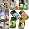 Bichon Frise Pomeranian Dog Phone Case for Samsung Galaxy Note 20 9 10 S8 S10 Lite S9 Plus A54 A53 A21S S10E A17 Cover Casing