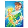 Tenyo [Made In Japan] 108-Piece Jigsaw Puzzle Disney Peter Pan & Tinker Bell (18.2x25.7cm) D-108-046, Includes Glue, Spatula, and Service Card
