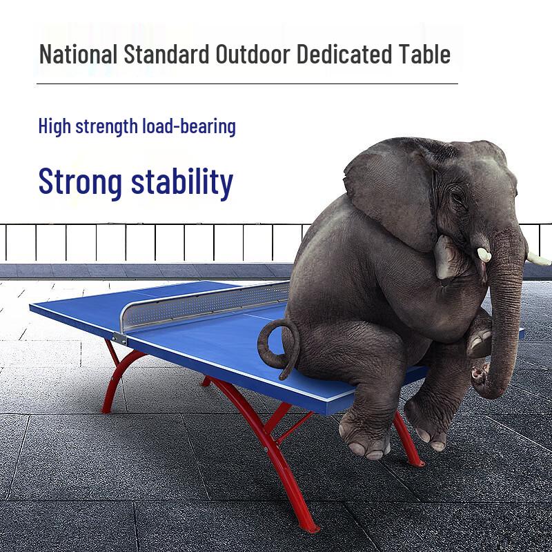 Yishi Professional SMC Weatherproof Table Tennis Table