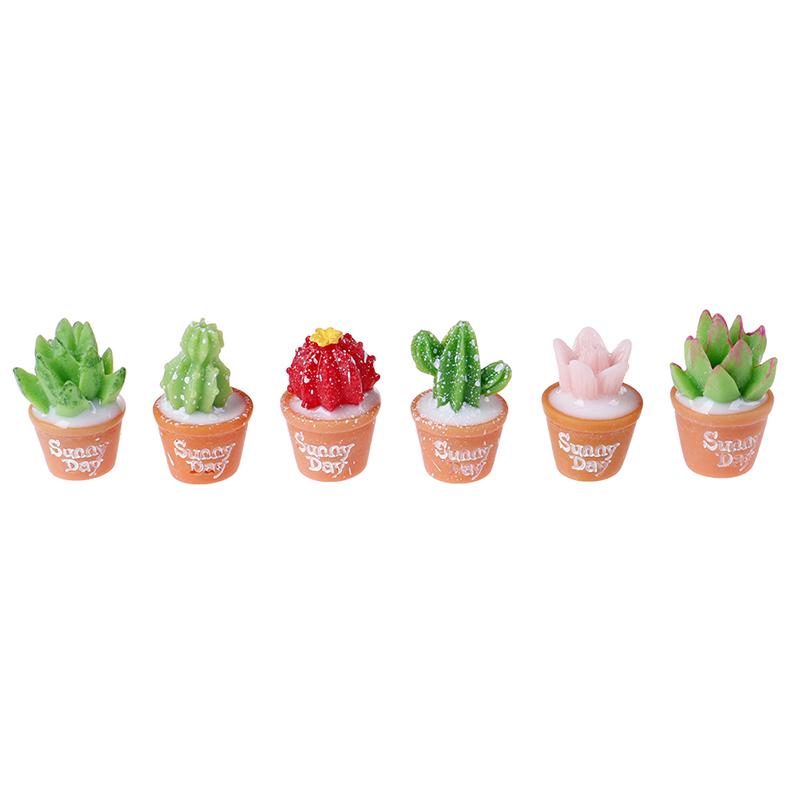 5Pcs Micro-Landscape Resin Cactus Horticultural Bonsai Diy Small Ornaments Toy