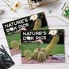2026 Calendar Cactus Calendar Cactus Prank Calendar With 12 Funny Cactus Illustrations Office Decor Gift 12 Months Calendar