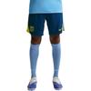 Тренировочные шорты Dri-Fit Strike Barcelona Мужские шорты FZ1348-431