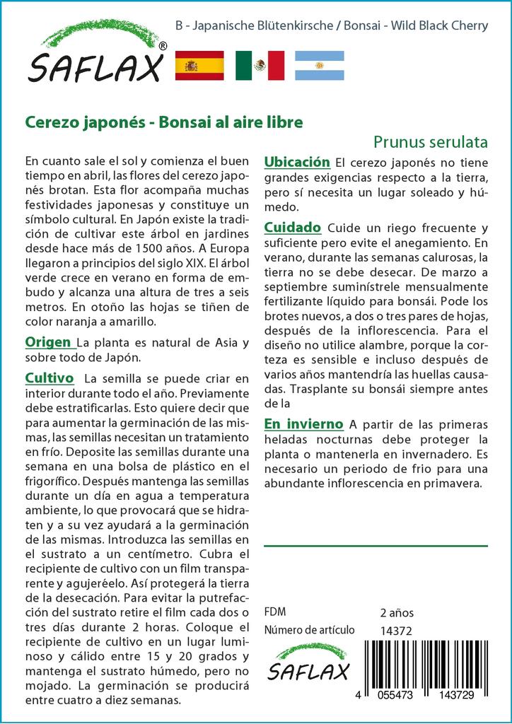 SAFLAX Garden in the Bag - Бонсай - Дикая черная вишня - 30 семян - С субстратом в подходящем пакете - Prunus serulata