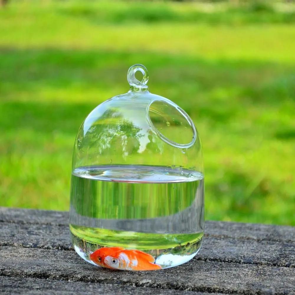 Creative hanging glass vase fish tank transparent glass handmade fish tank home decoration ornament