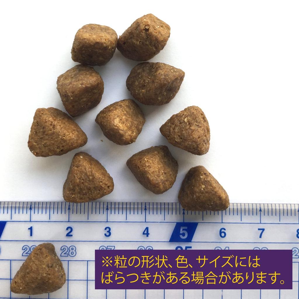 Wellness Core High Ocean Fish for Adult Dogs Years White Fish (Grain Free, Protein) (1-6 Old) 5.4kg