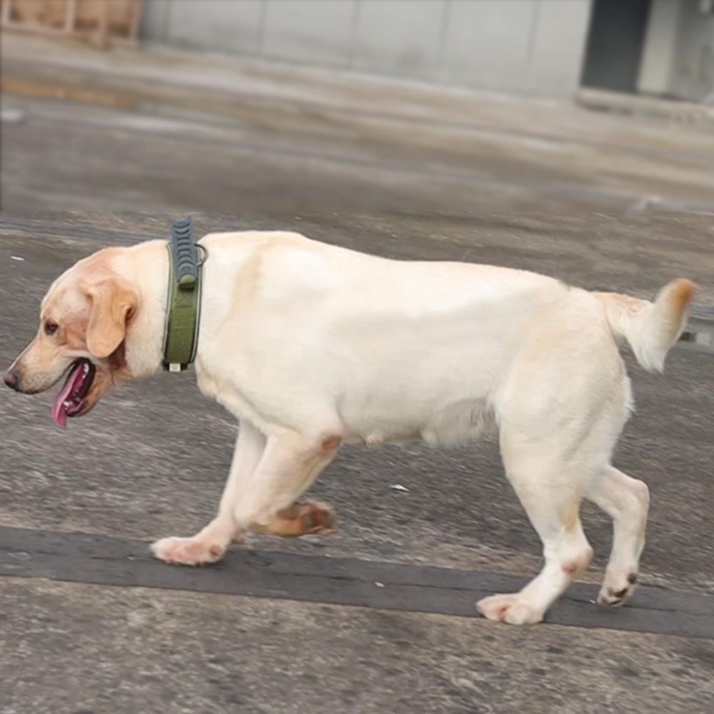 Светоотражающий ошейник для собак Прочные ошейники для средних и крупных собак Прочные нейлоновые ошейники для собак с ручкой Нержавеющая фурнитура Военный тактический ошейник для домашних животных