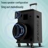Sansui E15 Portable Outdoor KTV Bluetooth Trolley Speaker