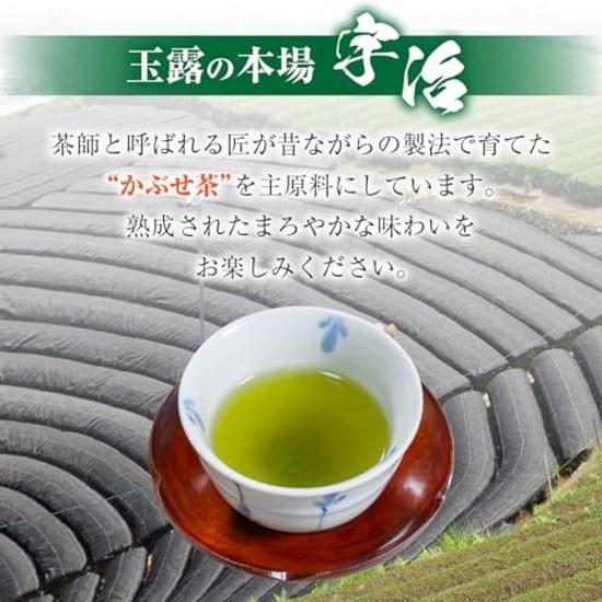 Uji Tea Garden Water Gyokuro 100g Kyoto Green Leaves Kabuse Low Astringency Easy Drink Relaxing Nutrient-Rich Gift Use Year-End