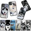 Phone Cover Animal Lovely Husky Dog Casing for Samsung Galaxy S25 S24 S22 S23 FE Ultra Plus A56 A05 A06 A15 A16 A55 S7 Edge Case