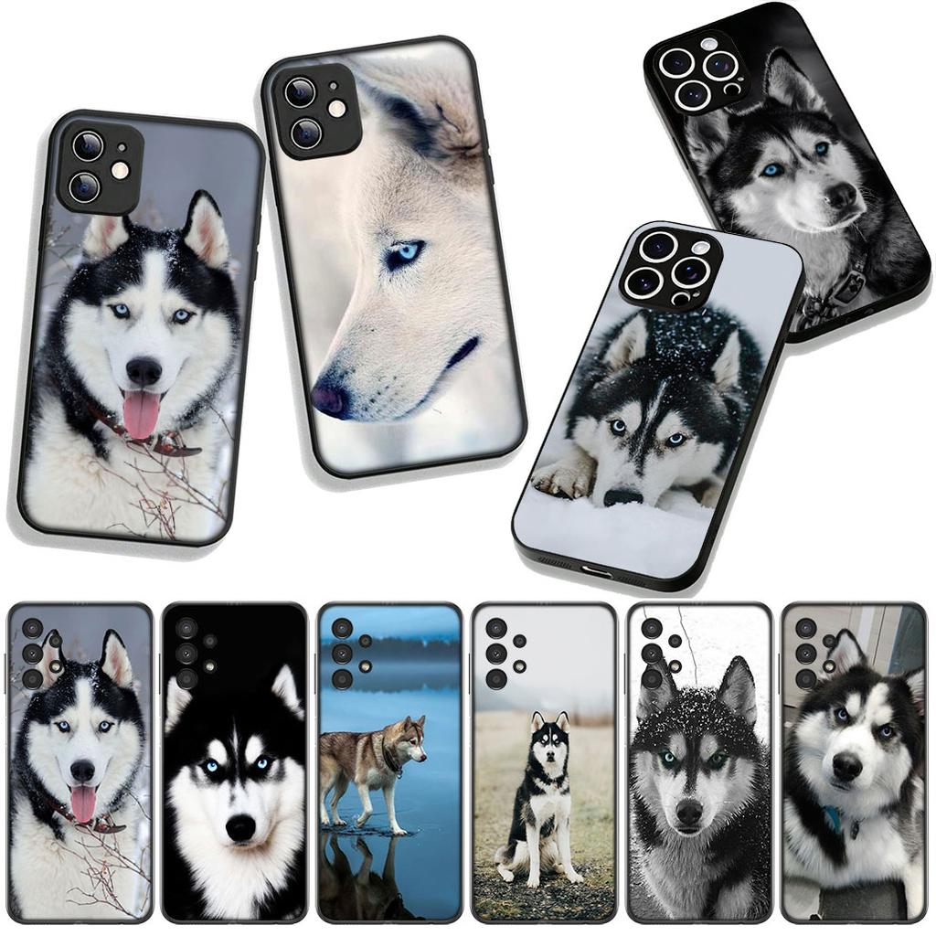 Phone Cover Animal Lovely Husky Dog Casing for Samsung Galaxy S25 S24 S22 S23 FE Ultra Plus A56 A05 A06 A15 A16 A55 S7 Edge Case