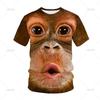 Men's and Women's 3D Monkey and Gorilla Printed T-shirts, Fun Streetwear, Fashionable Tops, Hip-hop T-shirts, Y2K Kawaii Children's Clothing