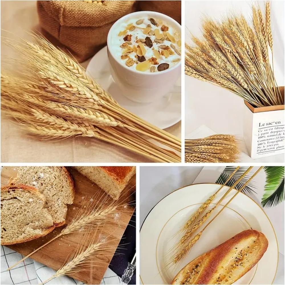 50pcs Rustic Dried Wheat Stalks Natural Dried Flowers Dry Wheat Spikes Holiday Festival Decoration