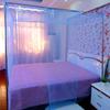 Bed Dome Mosquito Netting Canopy Breathable Mesh Design Simple Installation Single Bed Canopy Curtain Mosquito Net