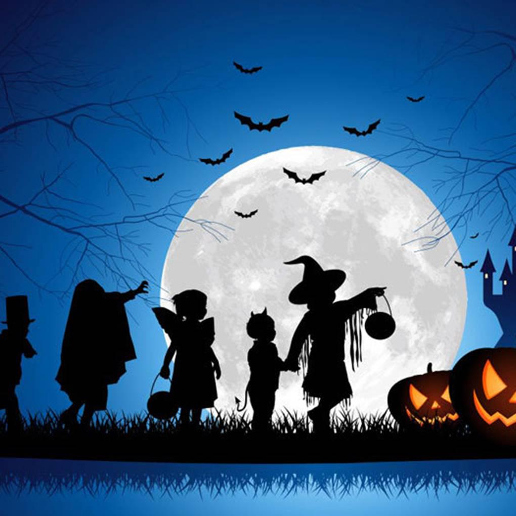 12PCS 3D Life-like Bats Decorative Scary Wall Decal Halloween Wall Sticker Decor