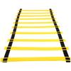 Agility Ladder Speed Training Set Exercise Ladders for Soccer Football Footwork Sports Training Ladder with Carrying Bag