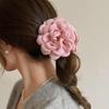 Зажим для волос Serif Spring Flower Point Балетный Core