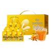 NINGANPU Pure Sea Buckthorn Juice Drink