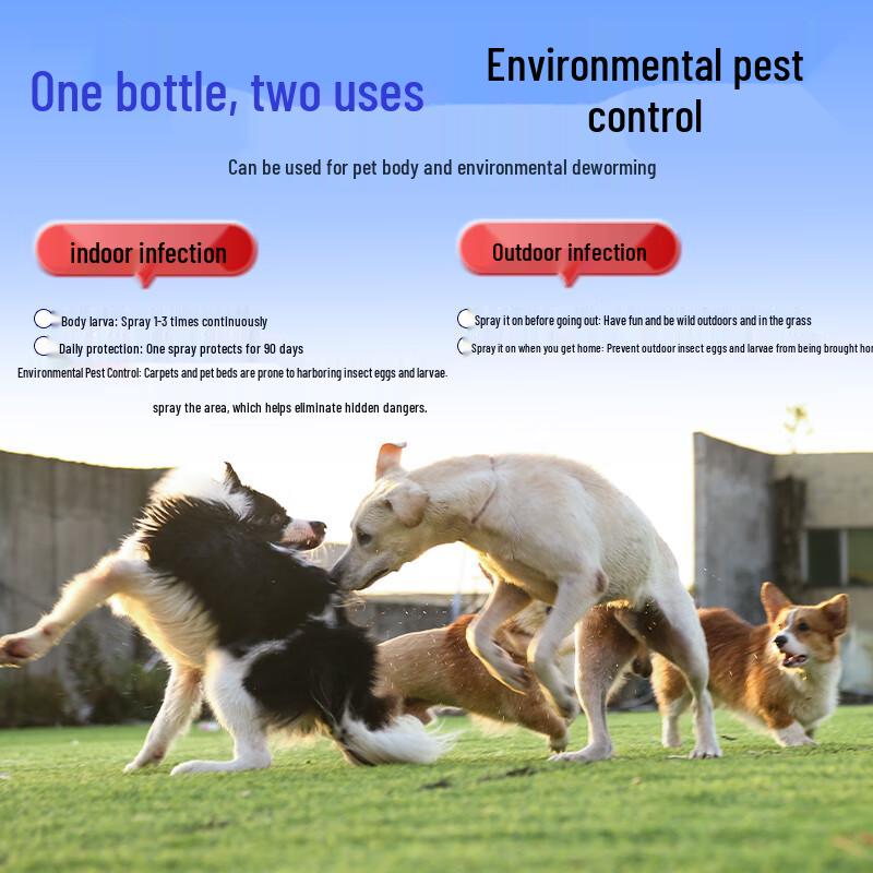 Flea & Bed Bug Killer Spray