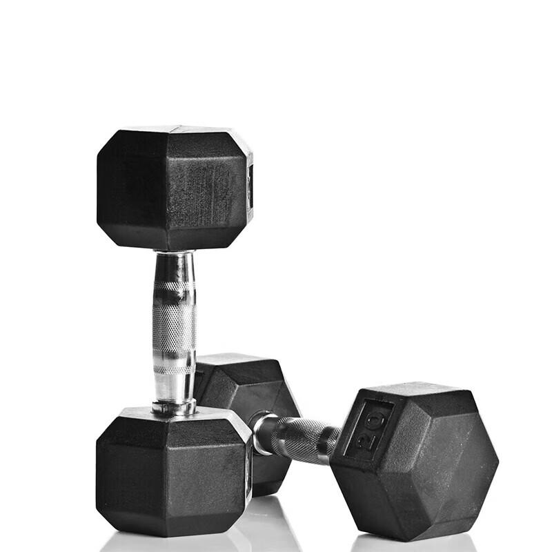 Shi Niao Hexagonal Cast Iron Dipped Dumbbells