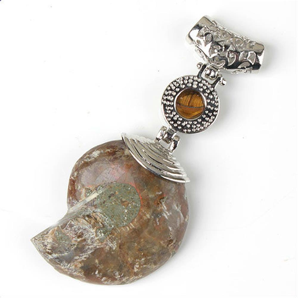 Pattern Tiger Eye Stone Beads Ammonite Fossil Stone Pendant Cabochon Conch Shell Stone Pendant