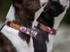 DURABLE COLLAR double fastening tape LARGE DOG / 30 Ukory skull pattern