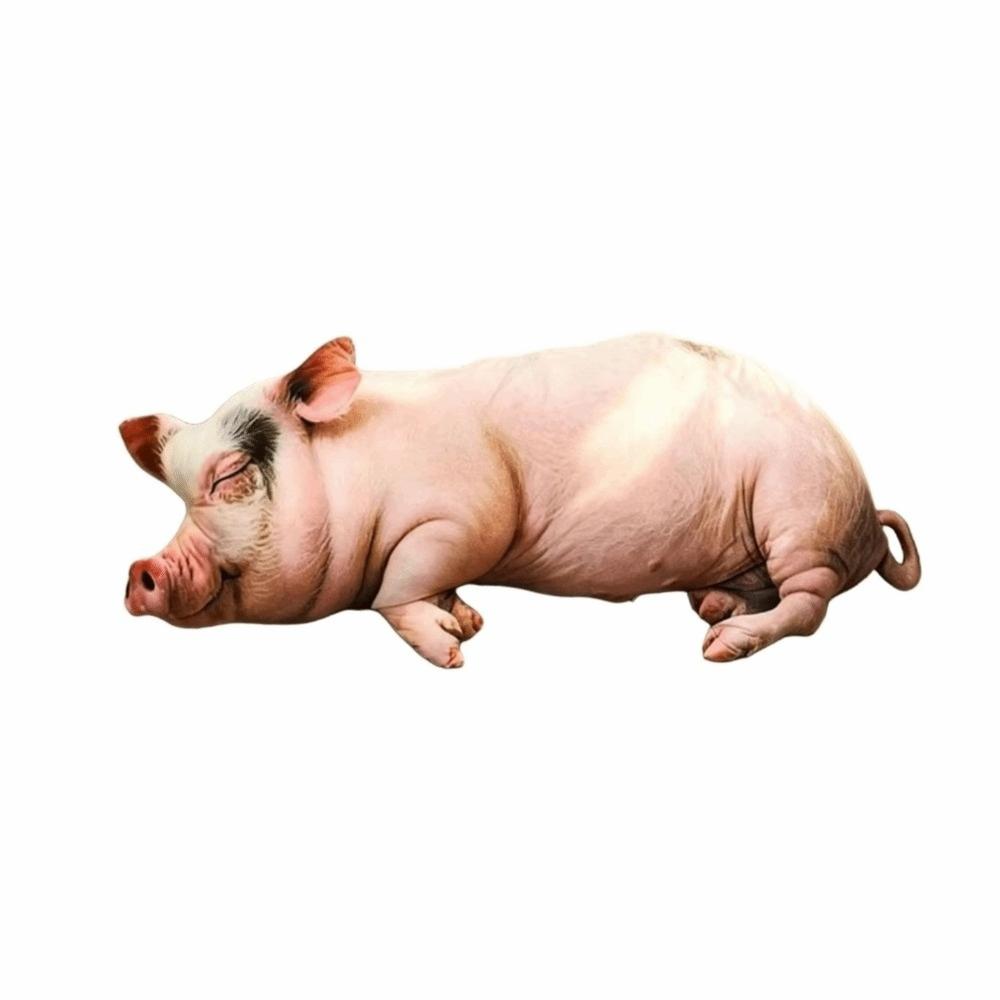 with Sound Pig Plush Toy Simulated Sleeping Simulation Pig Plush Doll Stuffed Pig Toy Car Decor