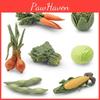 Реалистичный набор овощей из 7 штук Модель включает шпинат, морковь, кукурузу, капусту, лук, эдамаме. Изготовлен из прочного ПВХ.