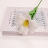 5 шт. Имитация Цветы Брауни Тюльпан Тканевые Искусственные Цветы Фото Реквизит Маленький Букет Домашний Декор Аксессуары для Украшения Обеденного Стола