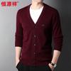 Hengyuanxiang Men's 100% Wool Thickened V-Neck Cardigan Sweater HJ224