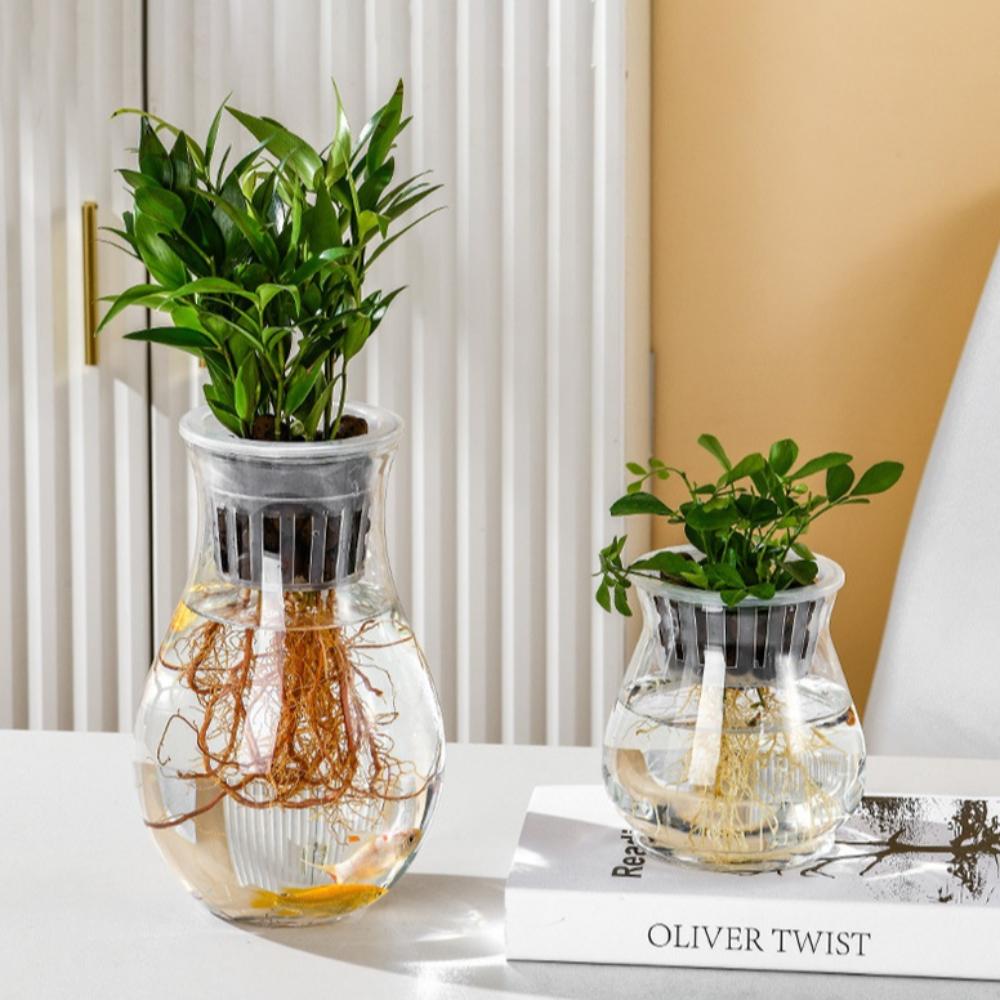 Пластиковые самовпитывающие цветочные горшки Прозрачная ваза Гидропонные специальные цветочные горшки Настольный