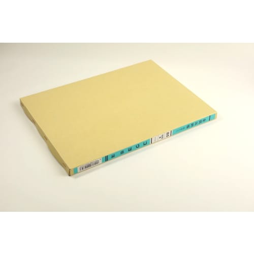 KOKUYO Ledger Cash Book with Subjects B5 100 Pages Chi-115