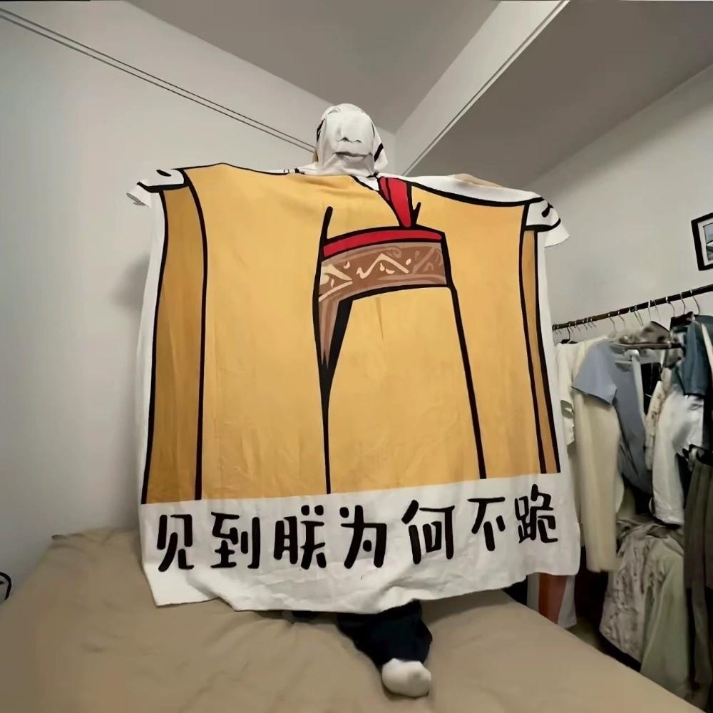 Фланелевое китайское мем-одеяло Устойчивое к выцветанию Плед для дивана Одеяло с императорским драконом Гостиная