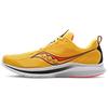 Женские кроссовки Kinvara 13 ViZiGold Vizired S10723-16