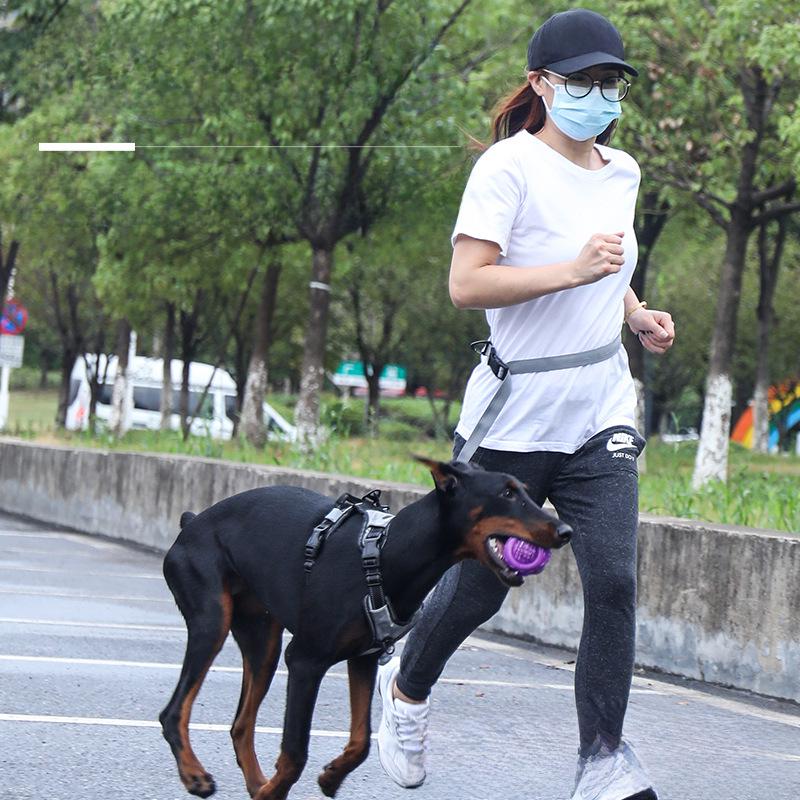 BOSKITTEN Эластичный взрывозащищенный многофункциональный поводок для собак и беговой канат