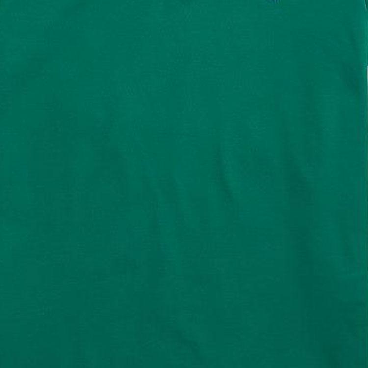 Polo Ralph Lauren SS23 Solid Logo Embroidered Slim Fit Polo Shirt Short Sleeve Men tops Green MNPOKNI1N822251-320