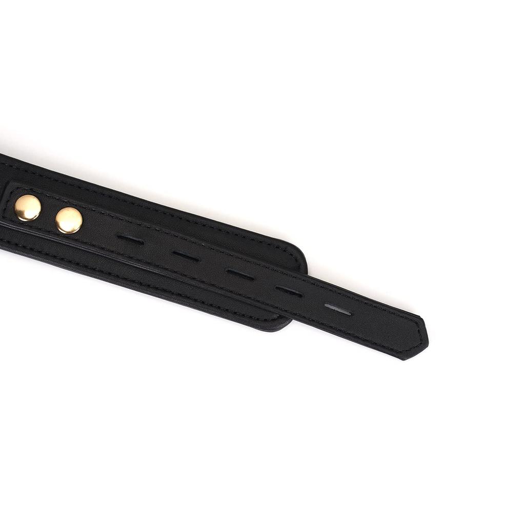 Liebe Seele Dark Secret Series Popular SM Goods Restraints Genuine Leather Cowhide Queen Cosplay Restraint Play Collar with High-end (Wide Padlock)