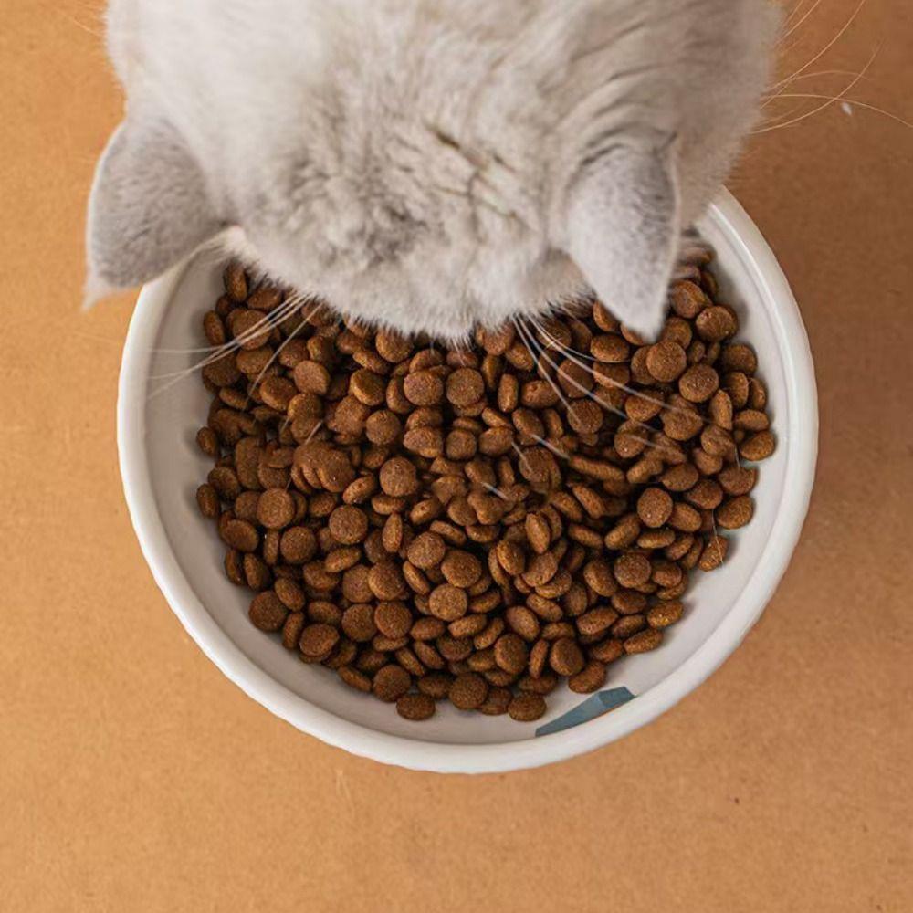 Мультяшная керамическая миска для кошки, милая миска для кормления собаки, миска для питомца на высокой ножке, емкость для воды