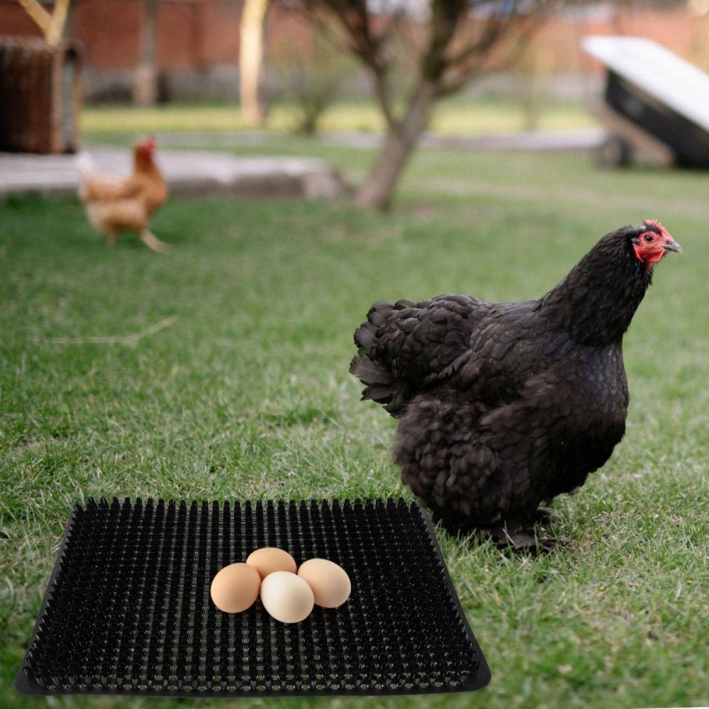 Прямоугольные коврики для гнезда для кур, моющиеся коврики для курятника, подстилки для кур, аксессуары для клеток