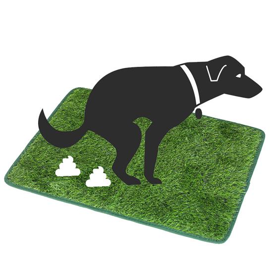 Pet Pee Mat Odor-Free Absorbent Fine Workmanship Wear-resistant Dog Training Pad for Clean Comfortable Home