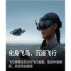 DJI Лётные очки 3