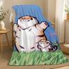 Tiger Cute Throw 240g Flannel Blanket, Suitable for Sofas, Beds, Offices, Exquisite Gift Blankets