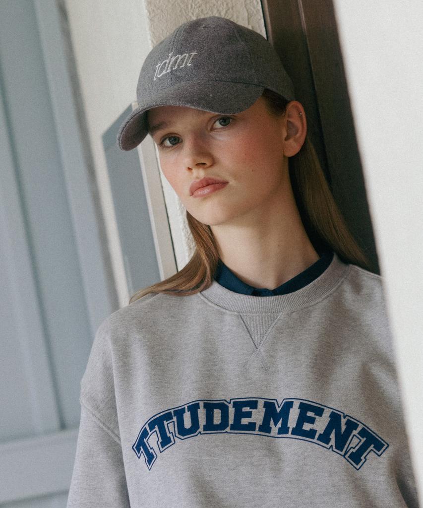 TTUDEMENT Tdmt Логотип Бейсболка Серая