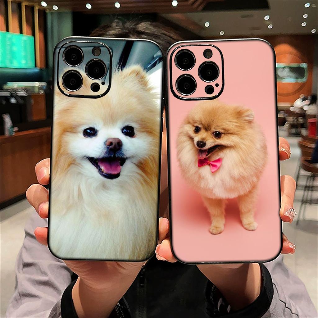 Funda Coque Cover for Apple iPhone 15 14 16 Plus XS 13 11 12 Pro Max XR X 16E ProMax Phone Case Pomeranian Dog