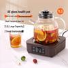 Craftsman Electric Ceramic Tea Maker: Durable Glass Kettle for Home Brewing