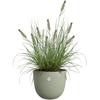 ELHO Pot de fleurs Sereh Rond 40 - Vert - Ø 39 x H 33 cm - 100% recyclé