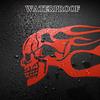 TOMALL 2pcs Skull Flame Reflective Stickers for Car Motorcycle Tank Vinyl Racing Sports Flame Stripe Decal for Golf Cart Off-Road Vehicles